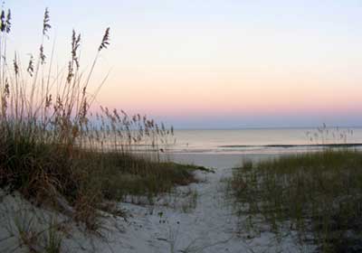 Sea Oats at Sunrise